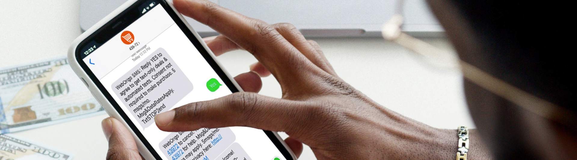 WebOrigo Sending Mass mail banner image